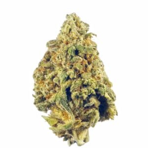 Magdeburg weed shop Germany