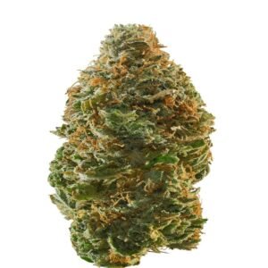 Best marijuana shop Ingolstadt Germany