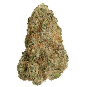 Buy Indica Online