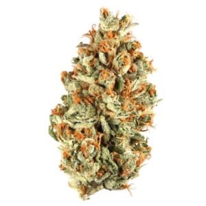 Cannabis Store Duisburg Germany