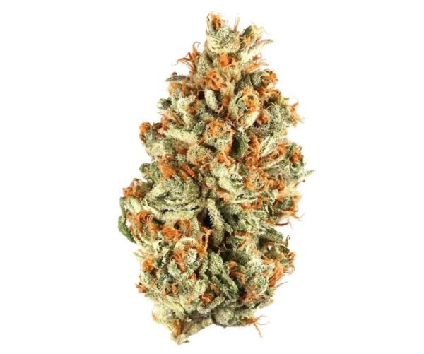 Cannabis Store Duisburg Germany