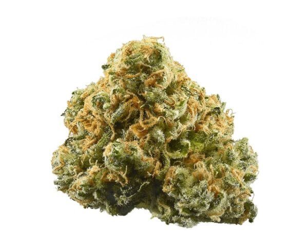 Bonn cannabis delivery in Germany