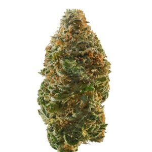 Marijuana dispensary Augsburg Germany